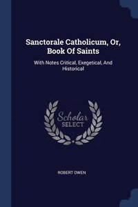 bokomslag Sanctorale Catholicum, Or, Book Of Saints