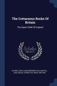 bokomslag The Cretaceous Rocks Of Britain