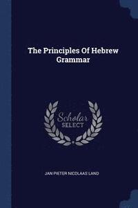 bokomslag The Principles Of Hebrew Grammar