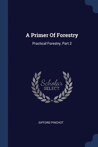 bokomslag A Primer Of Forestry: Practical Forestry