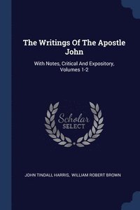 bokomslag The Writings Of The Apostle John