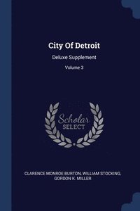 bokomslag City Of Detroit