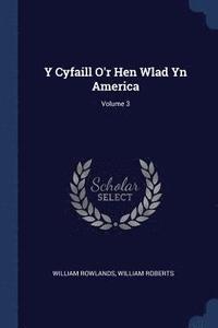 bokomslag Y Cyfaill O'r Hen Wlad Yn America; Volume 3