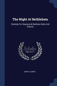 bokomslag The Night At Bethlehem