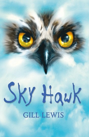 Rollercoasters: Sky Hawk 1