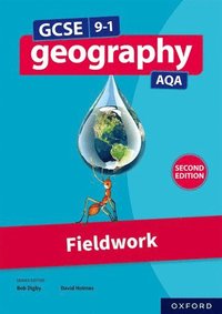 bokomslag GCSE 9-1 Geography AQA: Fieldwork Second Edition