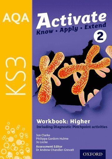 bokomslag AQA Activate for KS3: Workbook 2 (Higher)