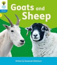 bokomslag Oxford Reading Tree: Floppy's Phonics Decoding Practice: Oxford Level 3: Goats and Sheep