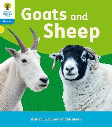 Oxford Reading Tree: Floppy's Phonics Decoding Practice: Oxford Level 3: Goats and Sheep 1