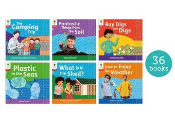 Oxford Reading Tree: Floppy's Phonics Decoding Practice: Oxford Level 4: Class Pack of 36 1