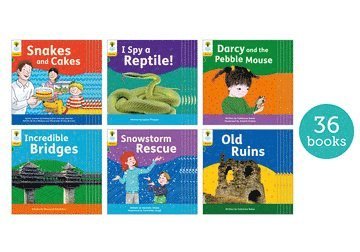 Oxford Reading Tree: Floppy's Phonics Decoding Practice: Oxford Level 5: Class Pack of 36 1