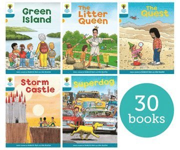 bokomslag Oxford Reading Tree: Biff, Chip and Kipper Stories: Oxford Level 9: Class Pack of 30