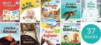 bokomslag Essential Letters & Sounds: Essential Phonic Readers: OL 1-7 Review Singles Pk