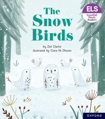 bokomslag Essential Letters and Sounds: Essential Phonic Readers: Oxford Reading Level 5: The Snow Birds