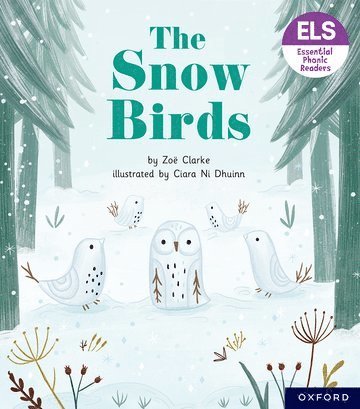 Essential Letters and Sounds: Essential Phonic Readers: Oxford Reading Level 5: The Snow Birds 1