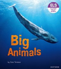 bokomslag Essential Letters and Sounds: Essential Phonic Readers: Oxford Reading Level 7: Big Animals