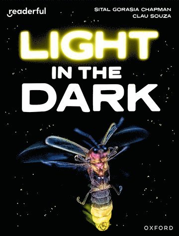 Readerful Independent Library: Oxford Reading Level 8: Light in the Dark 1