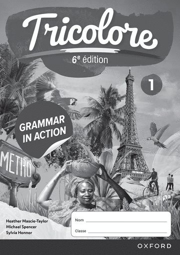 bokomslag Tricolore 6e édition: Grammar in Action Workbook 1 (pack of 8)