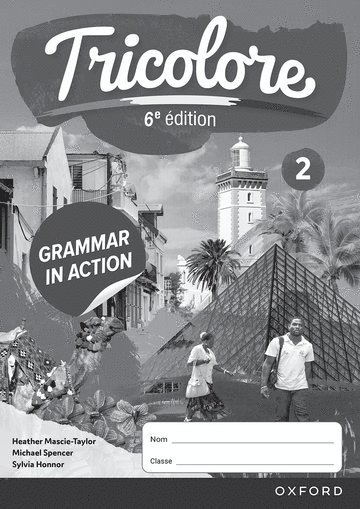 bokomslag Tricolore 6e édition: Grammar in Action Workbook 2 (pack of 8)