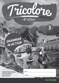 bokomslag Tricolore 6e édition: Grammar in Action Workbook 3 (pack of 8)