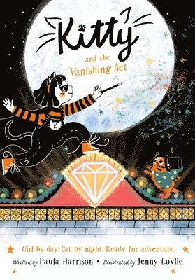bokomslag Kitty and the Vanishing ACT