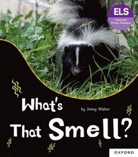 bokomslag Essential Letters and Sounds: Essential Phonic Readers: Oxford Reading Level 5: What's That Smell?