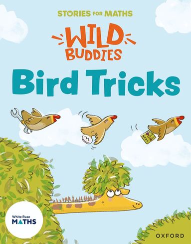 Louise Martin - Stories for Maths: EYFS: Bird Tricks (Match, sort, and compare), Häftad