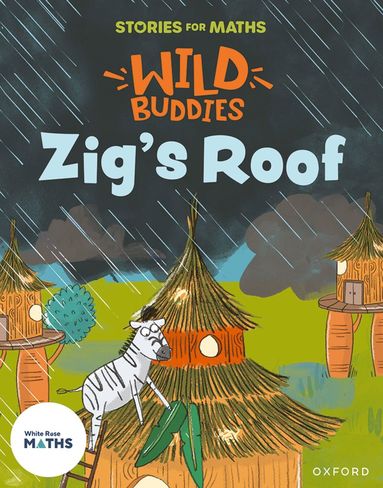 bokomslag Stories for Maths: EYFS: Zig's Roof