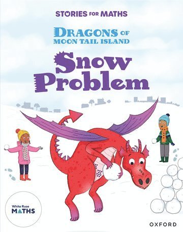 bokomslag Stories for Maths: Oxford Reading Level 7: Snow Problem