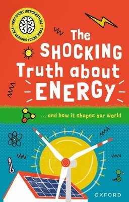 bokomslag The Shocking Truth about Energy