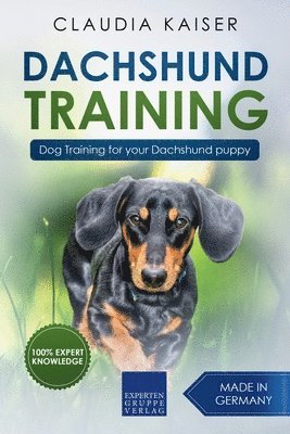 bokomslag Dachshund Training