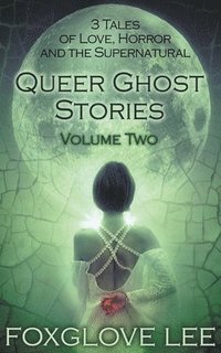 bokomslag Queer Ghost Stories Volume Two