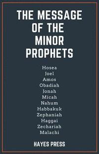 bokomslag The Message of the Minor Prophets