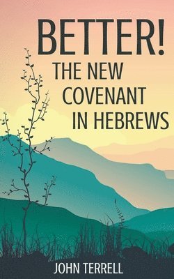 bokomslag Better! The New Covenant in Hebrews