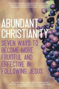 bokomslag Abundant Christianity