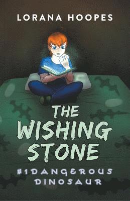Lorana Hoopes - Wishing Stone #1, Häftad