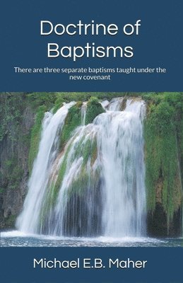 Michael E B Maher - Doctrine of Baptisms, Häftad