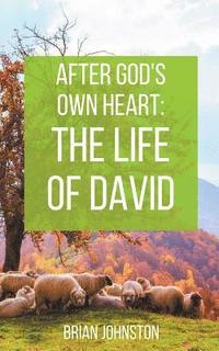 bokomslag After God's Own Heart