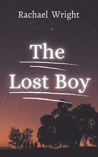 bokomslag Lost Boy