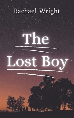 bokomslag Lost Boy