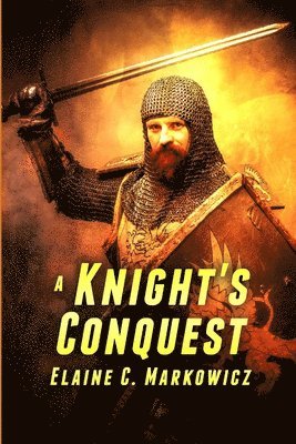 bokomslag A Knight's Conquest