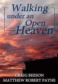 bokomslag Walking under an Open Heaven