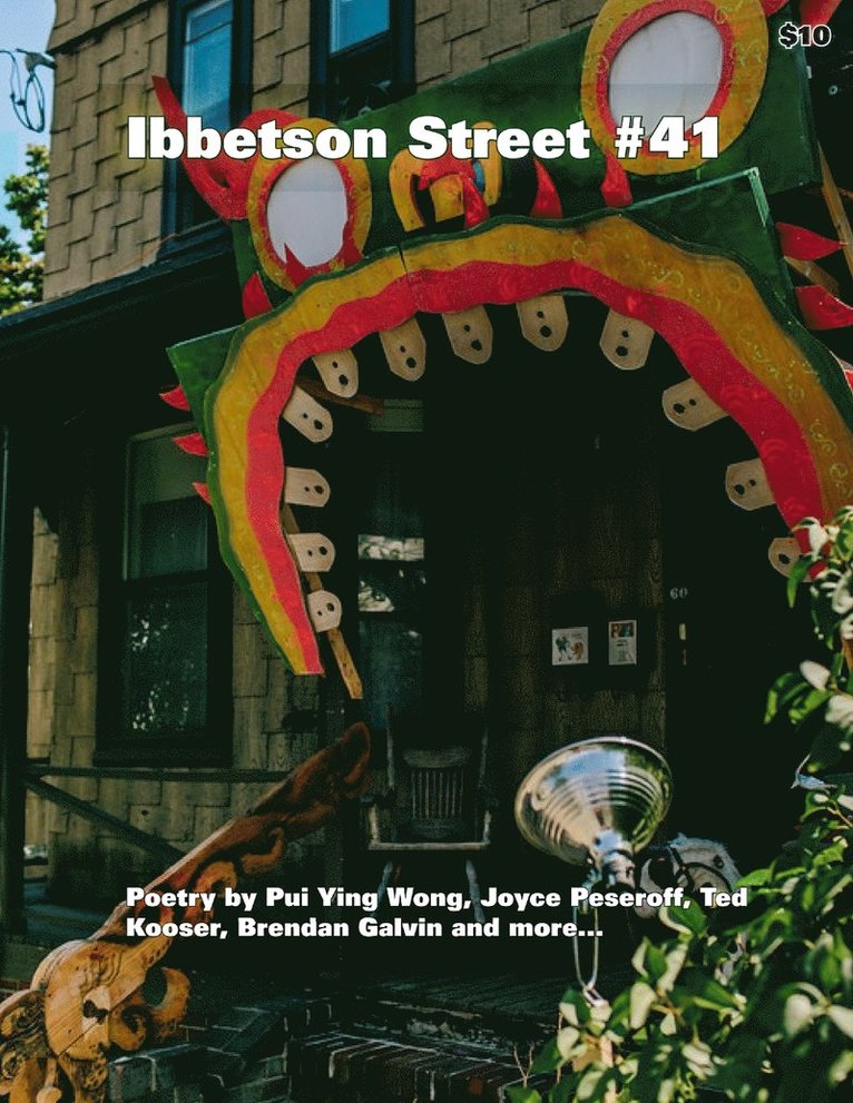 Doug Holder - Ibbetson Street #41, Häftad