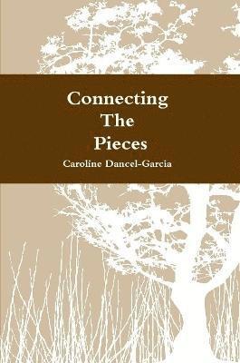 Connecting the Pieces: A Family's Life Story 1