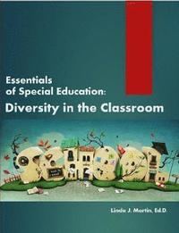bokomslag Essentials of Special Education
