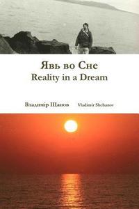 bokomslag Reality in a Dream