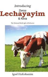 bokomslag Introducing Zeroa, Lechayayim and Keva Hardcover