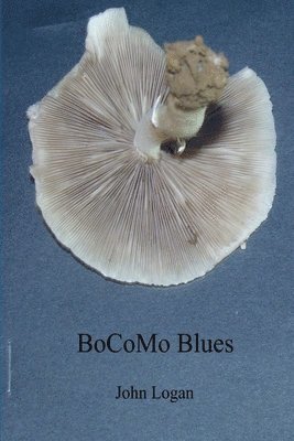 John Logan - BoCoMo Blues, Häftad