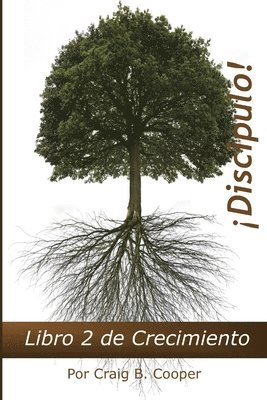 bokomslag Discipulo!