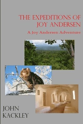 bokomslag The Expeditions of Joy Andersen